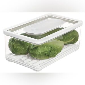 Fresh Food Storage Large Bin